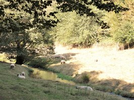 Bioshpärenreservat3