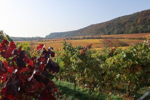 Bioshpärenreservat1